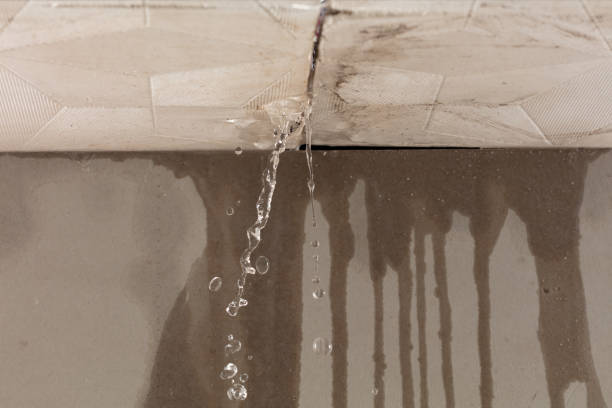 Professional Burst Pipe Cleanup technician working in Pontiac, MI